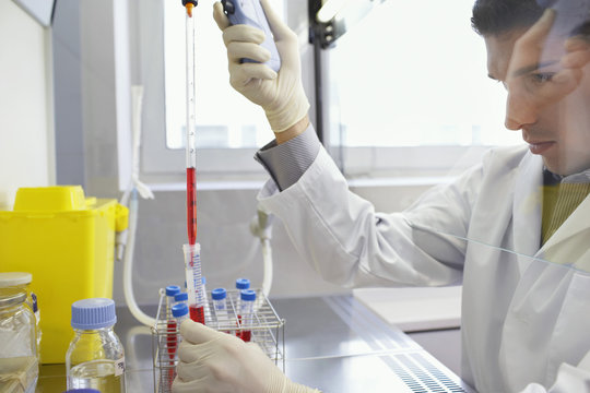 Closeup Of A Male Scientist Filling Test Tube With Hitech Pipette In Laboratory