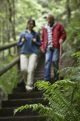 Naklejka na ściany i meble Blurred middle aged couple on forest stairs with focus on fern in foreground