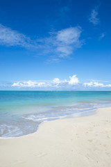 Fototapeta na wymiar Empty tropical dream beach on an island off the remote coast of Bahia, Nordeste, Brazil