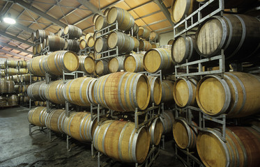 Wine barrels in storage shed