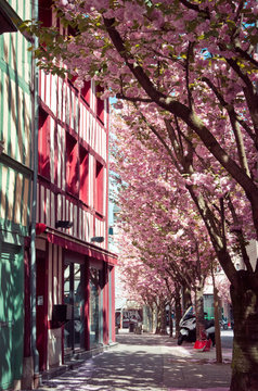 Rouen