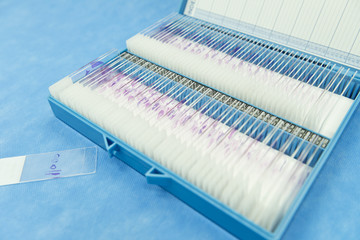 Fototapeta na wymiar H&E stainig animal tissue sections on slide glasses and storage rack