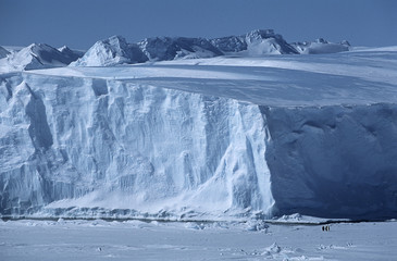 Antarctica Weddell Sea Riiser Larsen Ice Shelf Iceberg with Emperor Penguins