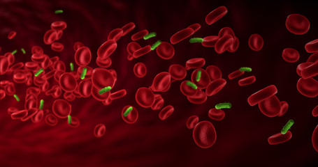 red blood cells in an artery near virus and bacteria, flow inside body