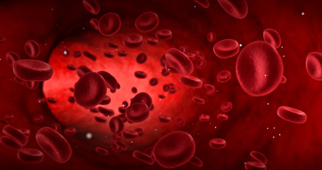 red blood cells in an artery, flow inside body