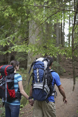 Rear view of a young couple with backpacks holding hands and walking in forest