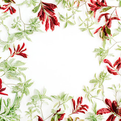 red and green leaves frame on white background. flat lay.