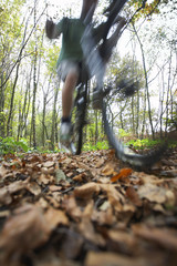 Blurred motion of man riding mountain bike through forest