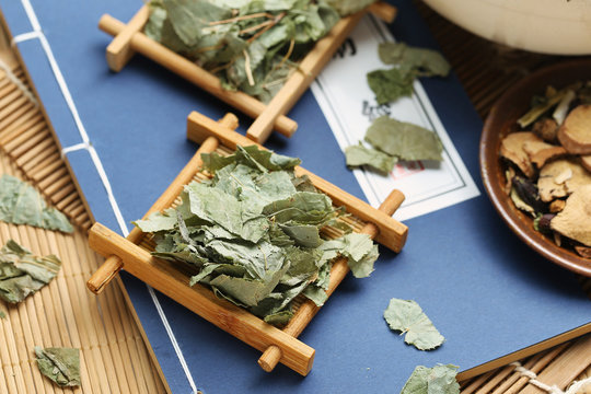 Traditional Chinese medicine Herba Epimedii