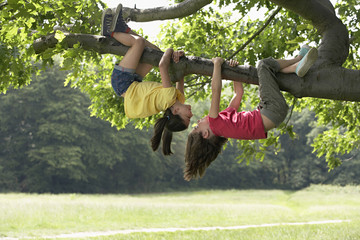 Full length of playful girls hanging upside down from tree branch