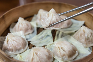 chinese dumpling