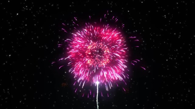 Fireworks in the New Year night.