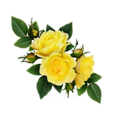 Poster Roses Composition de fleurs roses jaunes