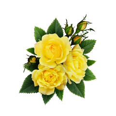 Yellow rose flowers arrangement