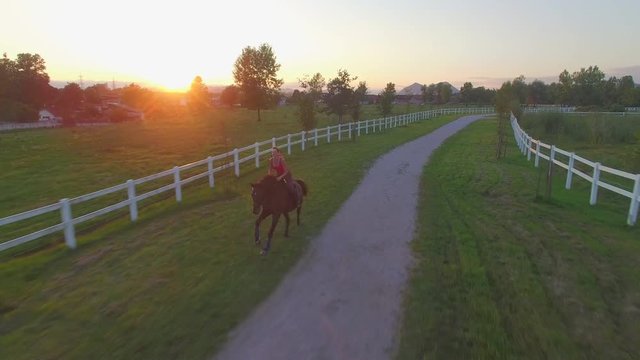 AERIAL: Young girl riding horse along the fields in suburb small town at sunset