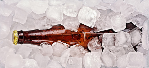 beer bottle cooled in ice