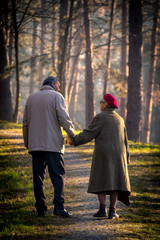 Fototapeta premium old couple waling and holding hands in park