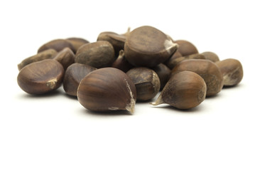 каштан,изолированные на белом фоне,