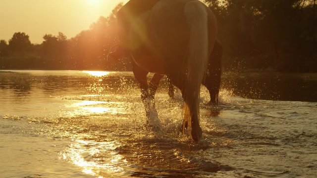CLOSE UP: Two riders horseback riding horses along river at magical sunset