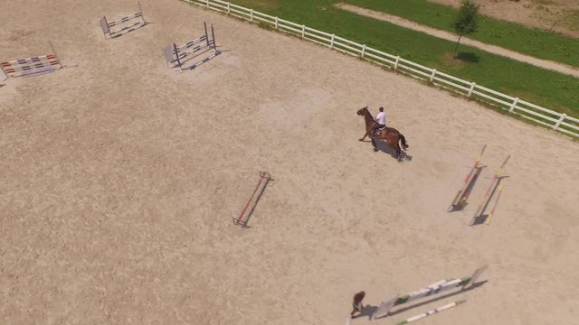 AERIAL: Pro rider jumping a showjumping course with strong brown horse in manege