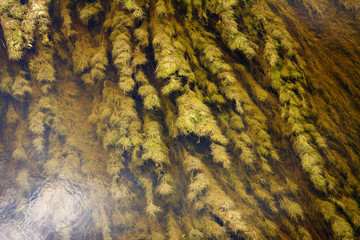 River surface texture