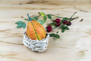 Ornamental gourd and rose hips in autumn