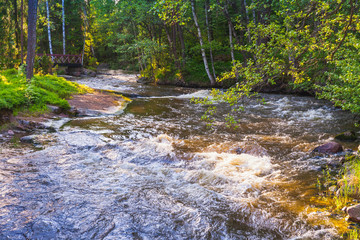 Fast stream with waterfall in summer park