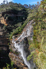 Fototapeta na wymiar Wentworth Falls in Blue Mountains, Australia