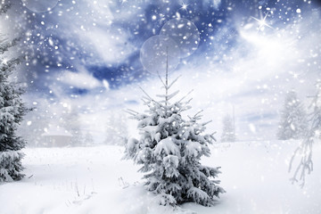 Fototapeta premium Christmas background with snowy fir trees