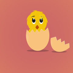 cartoon chick cute. vector