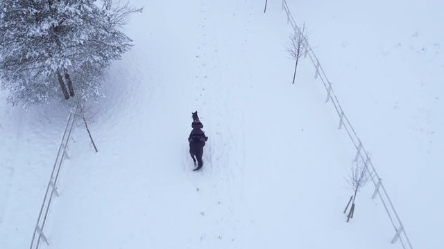 AERIAL: Young woman horseback riding among snowy fields in winter wonderland