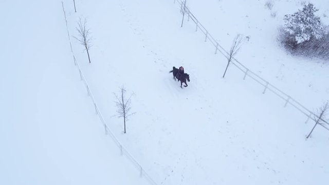 AERIAL: Young girl rider horseback riding horse in winter wonderland