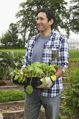 Smiling man carrying plants in the field