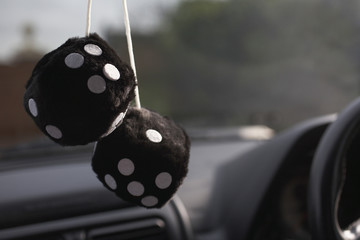 Fluffy furry dices hanging in a car