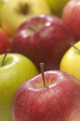 Detailed image of fresh multicolored apples