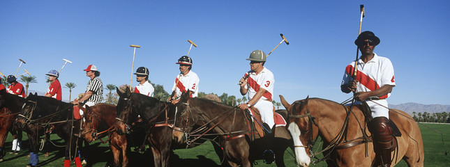 Panoramic shot of polo players and umpire on horses at field