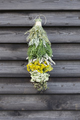 Bunch of herbs. Fragrant herbs from the garden on an old wooden background