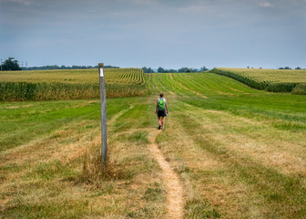 Hiking Through Open Corn Field