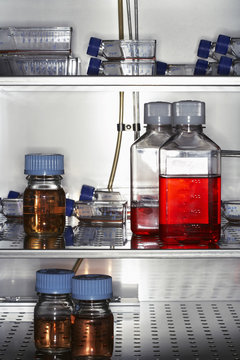 Bottles and containers preserved in laboratory fridge