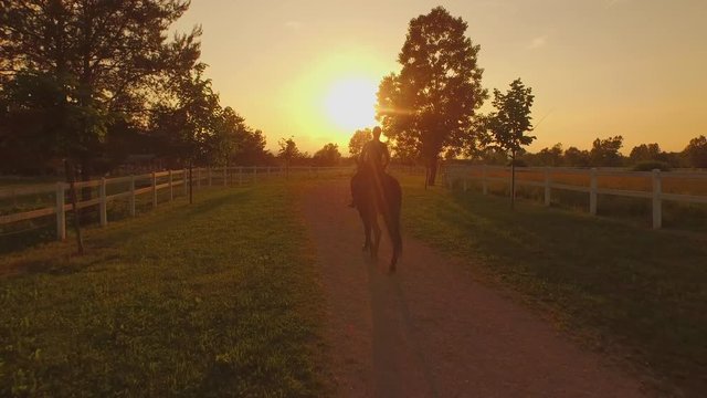 AERIAL: Female rider horseback riding a horse through fields at golden sunset