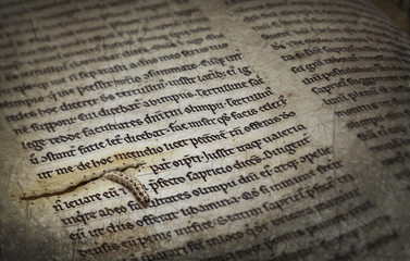 bücherwurm