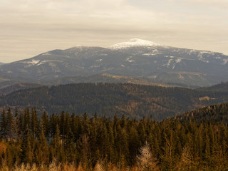 Snow-capped peak Babia Gora i moutains Beskid in Poland