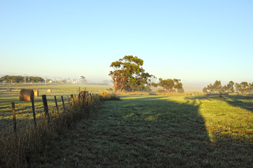 Fototapeta premium Misty morning