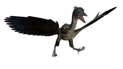 Archaeopteryx bird dinosaur landing - 3D render © Elenarts