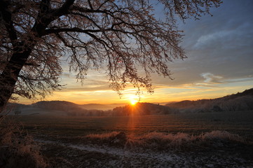 Wintermorgen im Odenwald bei Lautertal, Hessen, Deutschland