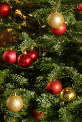 Fototapeta na wymiar Sapin de Noël avec boules rouges et or