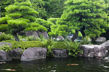 Fototapeta na wymiar Japan Himeji Himeji Koko-en Gardens pond with Koi Carps