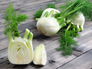 Fresh fennel grown in organic farming