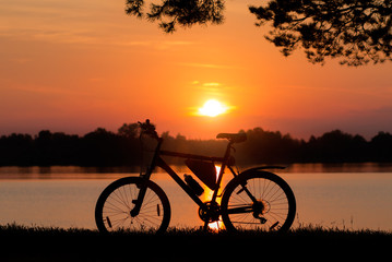 Fototapeta premium Single bicycle standing on a sunset under trees