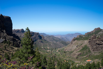 Canyons Of Gran Canaria